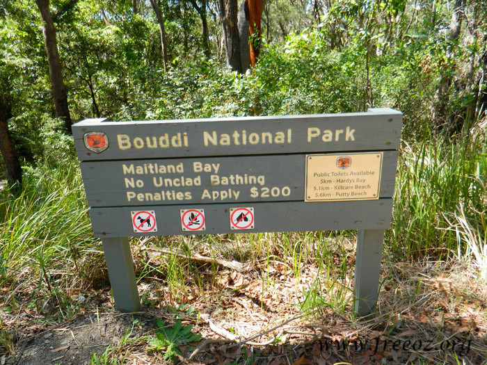 bouddi park01.jpg