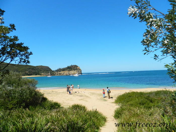 bouddi park04.jpg