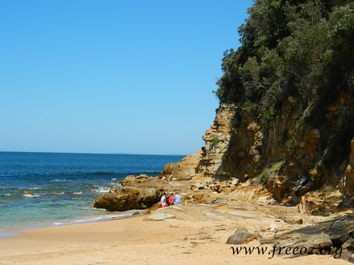 bouddi park05.jpg