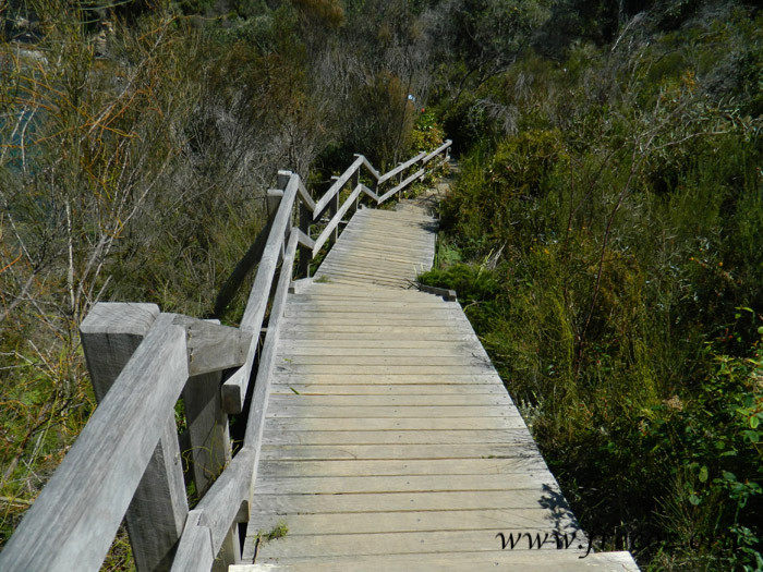 bouddi park10.jpg