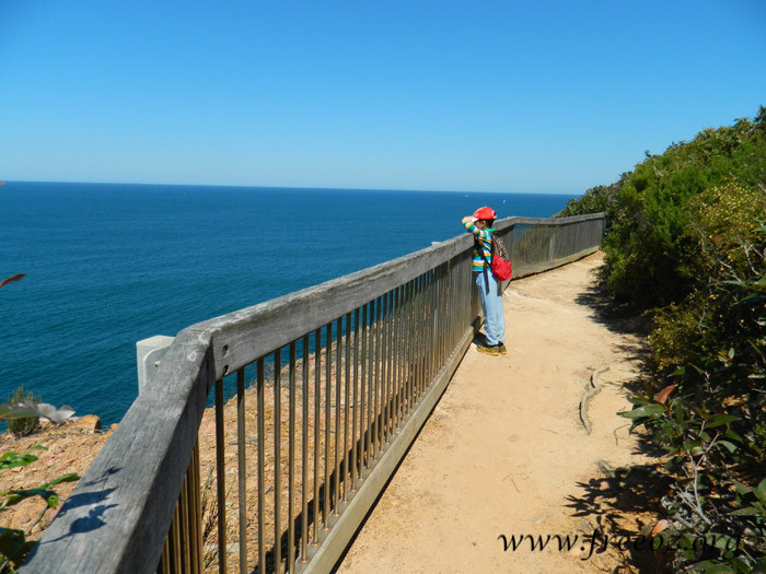 bouddi park12.jpg