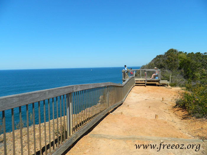 bouddi park13.jpg