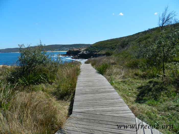 bouddi park16.jpg