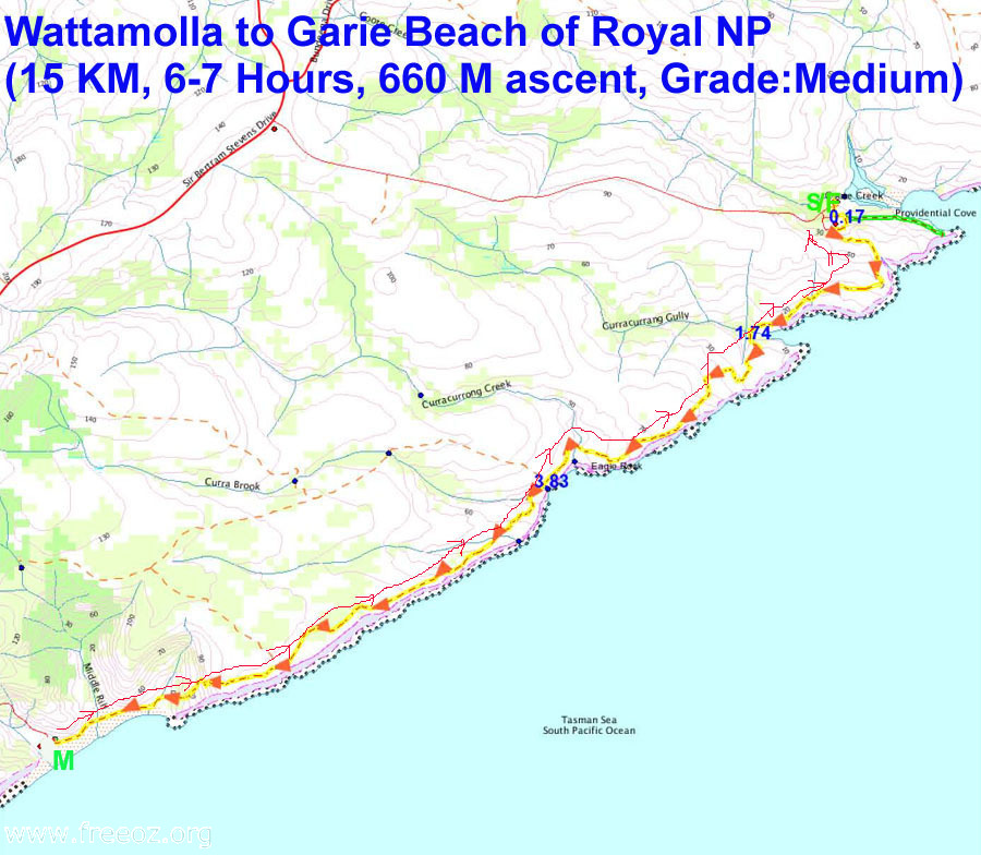 Wattamolla to Garie Beach Track h2.JPG