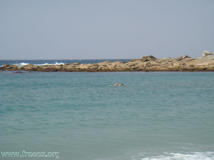 our walker at little marley beach h.JPG