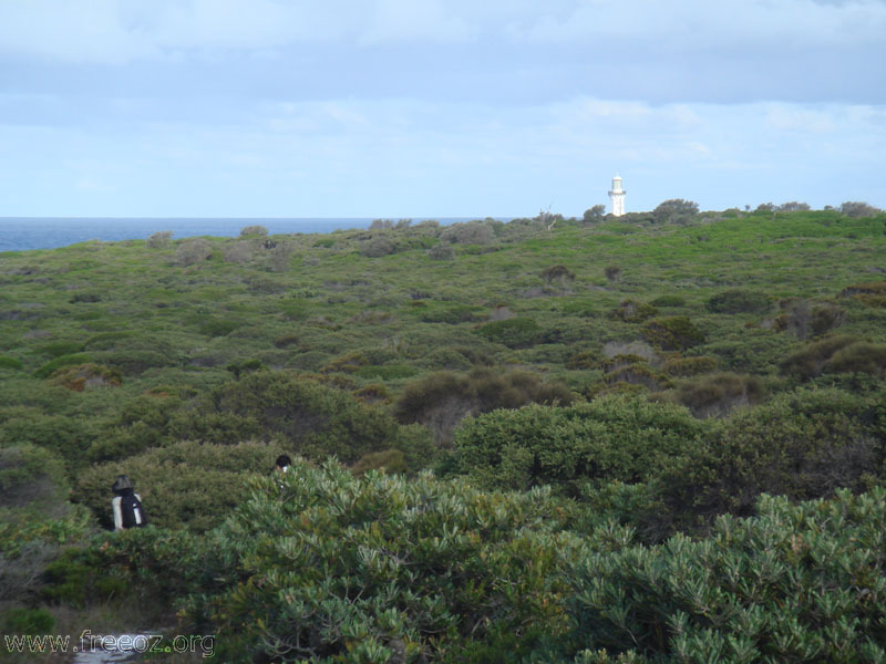 walk to green cape lighthouse h.JPG