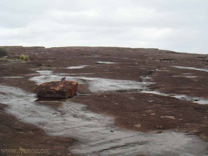 markers to Bittangabee Bay h.JPG