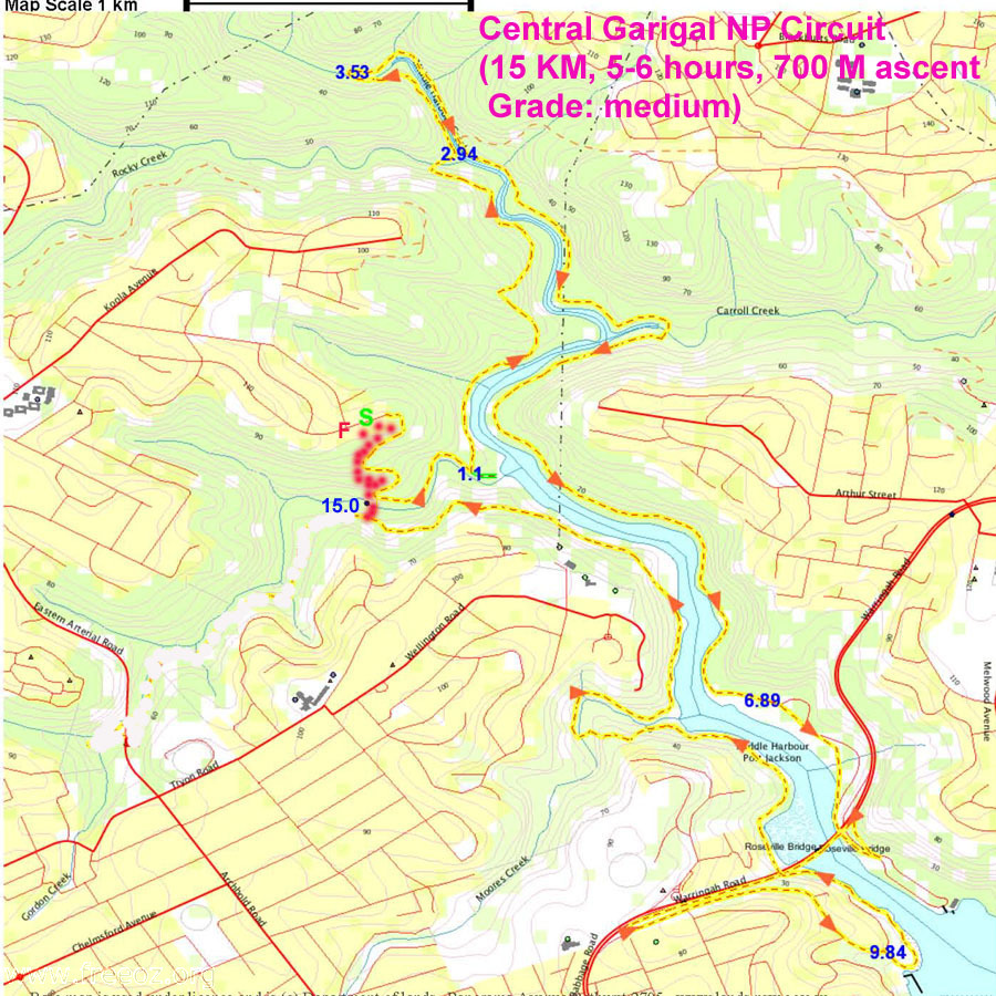 Central Garigal NP track 15km5hrs700ascent.JPG