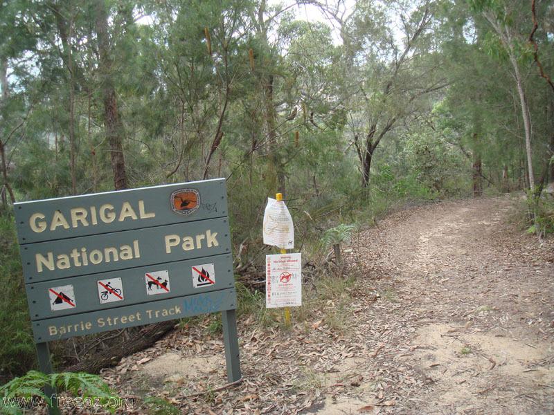 Barrie Street Track of Garogal NP h.JPG