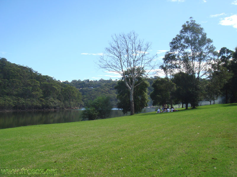 Davidson Reserve h.JPG