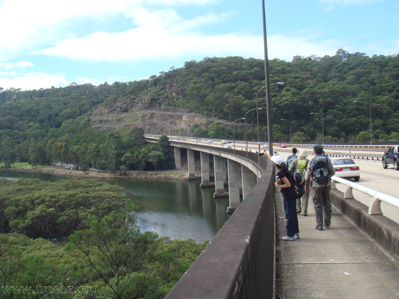 Walk on the Roseville bridge h.JPG