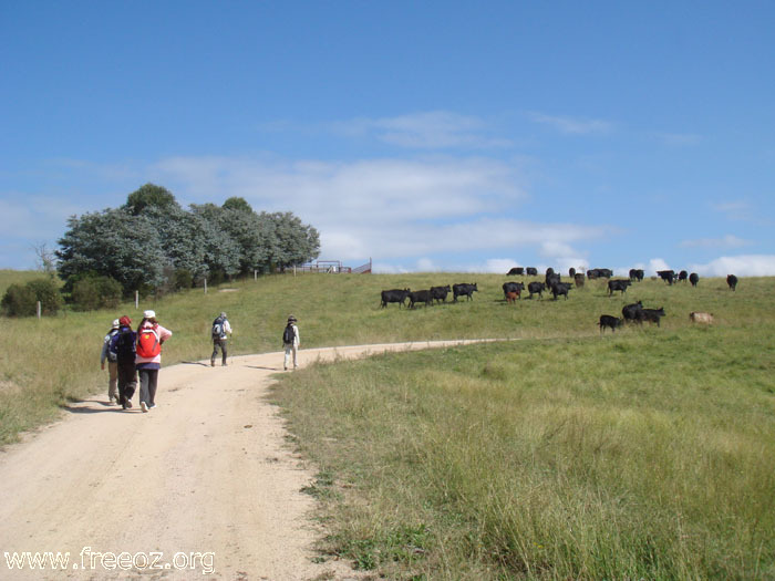 Walk on the track b h.JPG