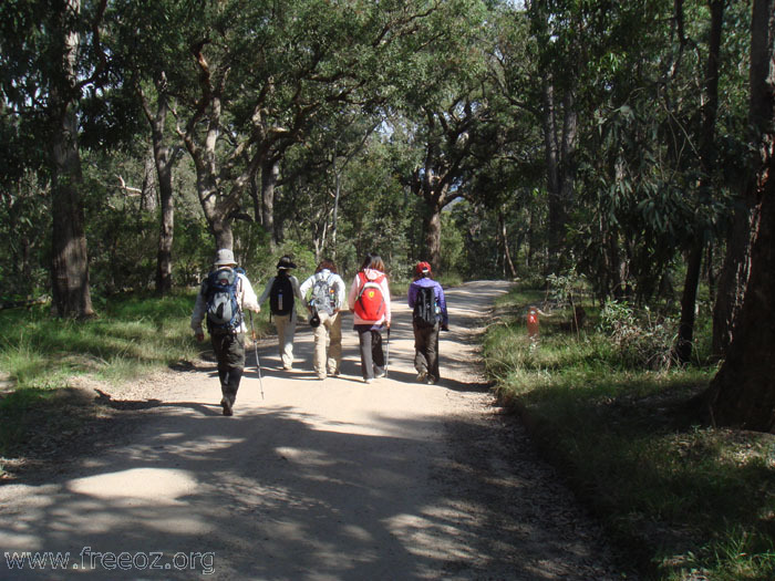 Walk on the track a h.JPG