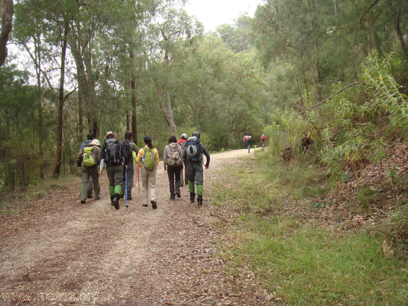 walking on the track h.JPG