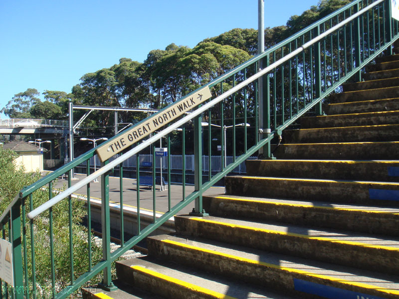 GNW at platform of Thornleigh railway station h.JPG