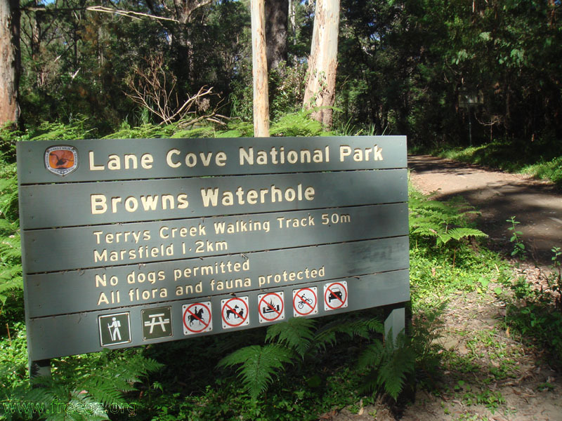 Browns Waterhole mark h.JPG