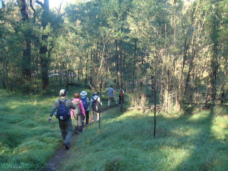 walk on the track h.JPG