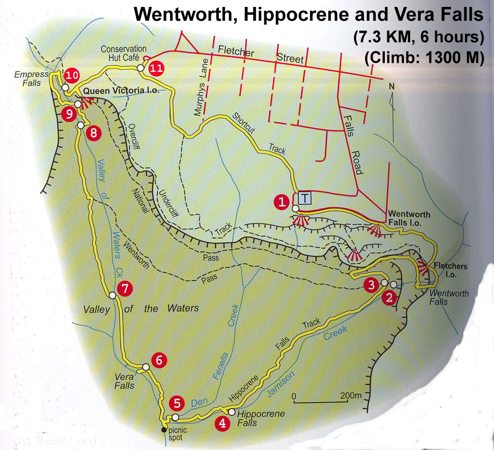 Wentworth Hippocrene and Vera Falls h.JPG