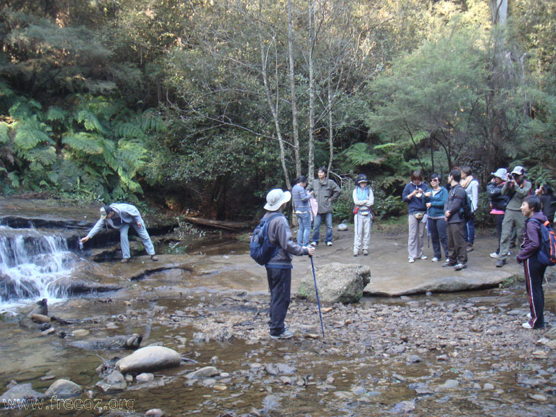 take a rest at Katoomba Falls h.JPG