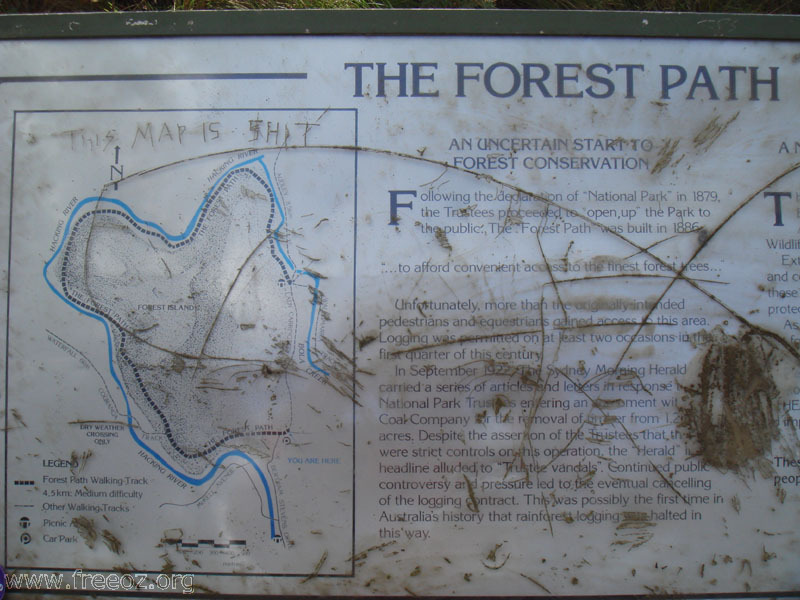 The forest path h.JPG