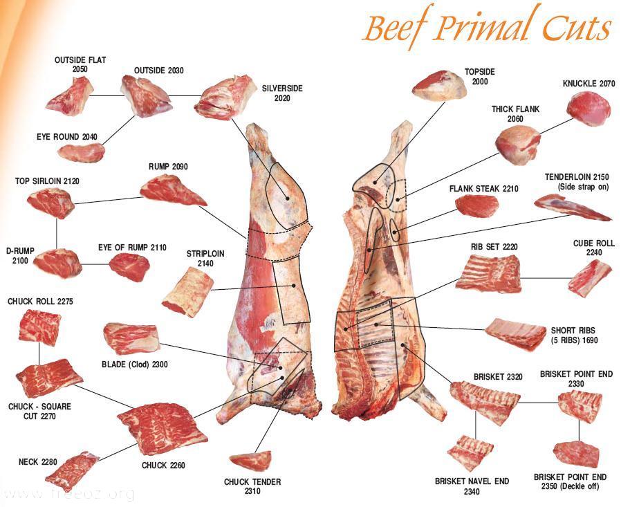 图解猪牛羊肉各部位的英文名称 澳洲行业标准 英语交流 Freeoz论坛 Powered By Discuz