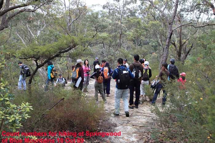 Count numbers for hiking at Springwood Blue Mountains 18 Oct 09  low.JPG