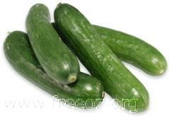 lebanese cucumber