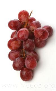 red grape (WinCE).jpg