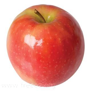 pink lady apple (WinCE).jpg