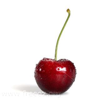 cherry (WinCE).jpg