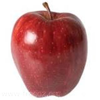 Red delicious apple (WinCE).jpg