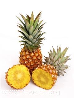 pineapple (WinCE).jpg