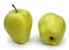 green delicious apple (WinCE).jpg