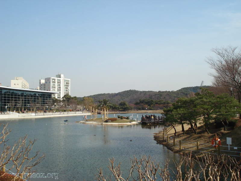 grand park swimming center.JPG