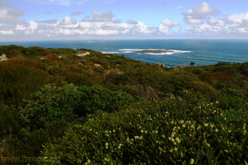 Dentrecastaux National Park 2.JPG