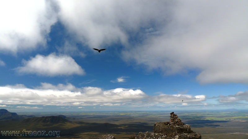 Mt Toolbrunup Summit with eagles.JPG